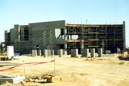 Construction Desert Willow.